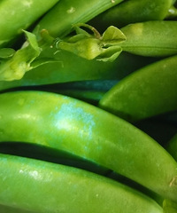 �����޴����ڣ�����ϴ����