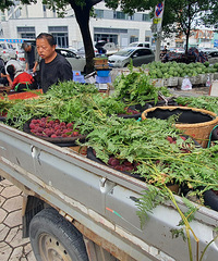 �ɾ���÷�Ը���������10Ԫ�������