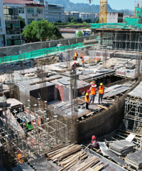 ̨�ݰ�����ҽ�����ĸ��������̼ƻ�����8�½ᶥ