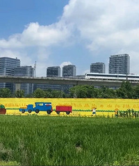 35�桰�����֭����������ץ��ϴɹ