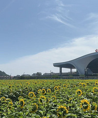 ̨��վ��������տ����ˣ�������ôͣ����