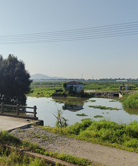 ·�ŵ����ĺ��Ƿ羰�أ����˻ƽ�֮�⣬����һ��������̩ʤ��