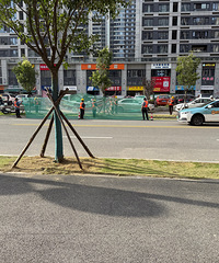 ���ڳ��ݶ���Χ�����������ɽ�