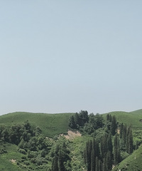 百里画廊唐布拉小众景点布隆沟