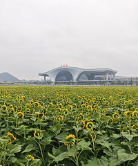 ̨��վǰ����Ƭ���տ�����