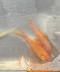 ��������������