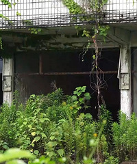 ̨�ݷ����������Ǩ����������13�껹δ���ꣿ