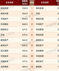 ���ز�ǰ100ǿ��ҵ