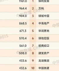 ���ز�ǰ100ǿ��ҵ����������������������