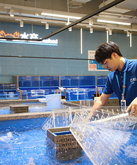 ̨����һ�Һ�������Ҫ�������͸����