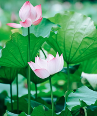 ����10ʱ42�֣�̨����ʽ���롭��