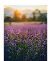 �ٺ������Һ�