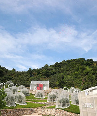 摘杨梅+逛景点!在这些地方,“打包”黄岩的夏日酸甜与诗意
