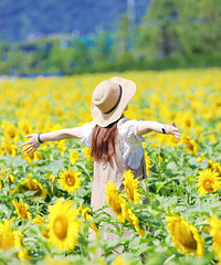 ̨���ֶ�һ���½�����򿨵أ����ǻ���