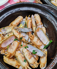 �������ʲô����ȥ�ƴ�ԟh������