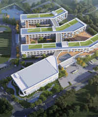 ��������Сѧ����