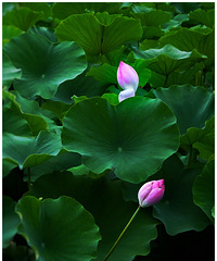 ̨������㳡�����Ǻɻ�