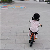 ���г�ѧ������