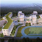 ��������Сѧ����