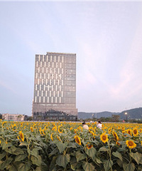 ȥ̨��վ���ϵ����տ�����ɢ����