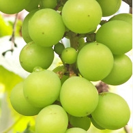 ��ˮ������