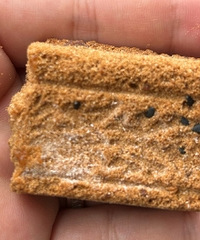 ̨�����Լ���ѹ������