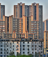 ����ʶ��