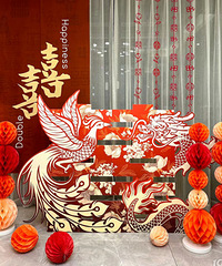 ����ѡ������Ź�