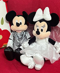 ��ѹ�������ٺ��ʲ���