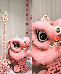 ���������Լ��ɹ��ģ���Ҫ�Լ��������