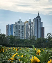 ̨��վ���տ����л��俪��