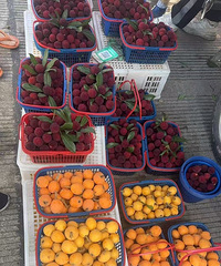 ���۸��᡿������ô�������ˣ��������ģ���