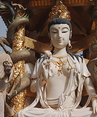 �ɴ���ɲ������