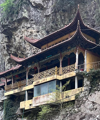 ���������¡���������