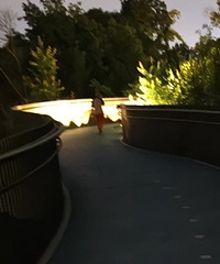 ��׼��������