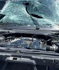 �����Ͼ��ֶ�����˿��������������Ʒ����ٿ�һ�㣬4���˶�����