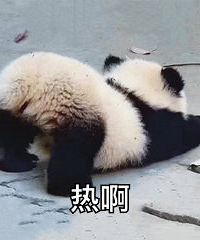 ���쵽������Щ�ط��ʺ����Σ�Ҫ���ÿ��յ�������