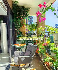 ��8�֡��û��͡����ӣ���ͨ����ñ���������ס������