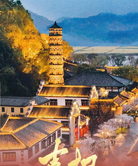 �㽭��1��ȫ����4�������Ȱ�ǿ���ٺ��ٴ��¸ߣ�