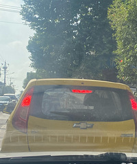 ���̵Ʊ���֦���ˣ���һû���ֹ�ȥ����ô�죿