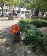 �����µĲ�������˭��