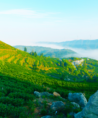 ȫ���Ե㣬̨��1����ѡ