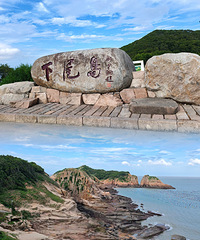 ϼ��������