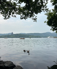 �쳽�����ͽ�ɻ����������ôѡ