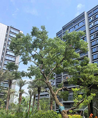 Ǯ���壬��δ�ɣ�����ͻȻʧ����̨��һҵ�����ˡ���