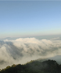 ���ƺ����з�⣬̫��