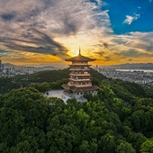 �й⣬����ɫ��