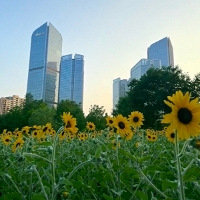 �ͺϹ�԰���տ�