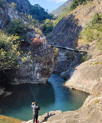 ���ͽ�������