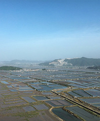 ���ŷſպõط�